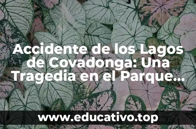 Accidente de los Lagos de Covadonga: Una Tragedia en el Parque Nacional de los Picos de Europa