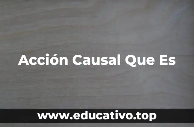 Acción Causal Que Es