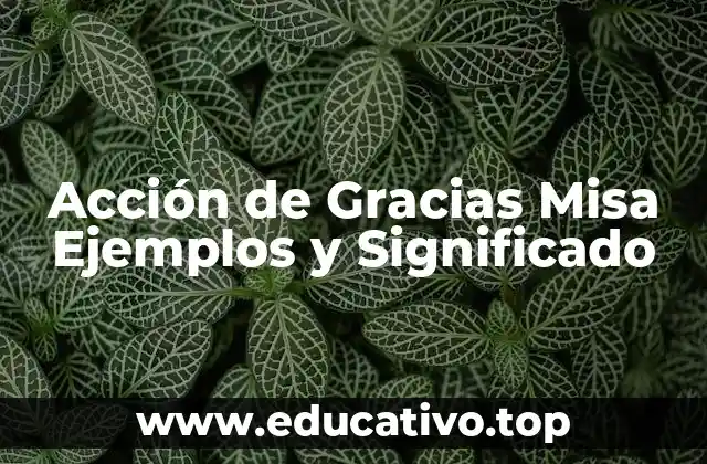 Acción de Gracias Misa Ejemplos y Significado
