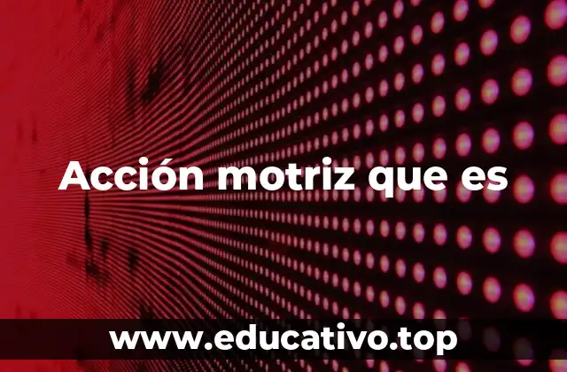 Acción motriz que es