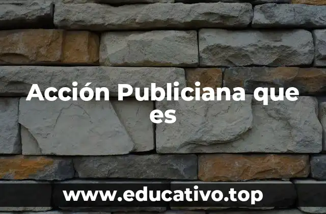 Acción Publiciana que es