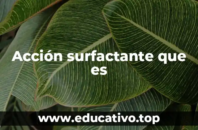 Acción surfactante que es