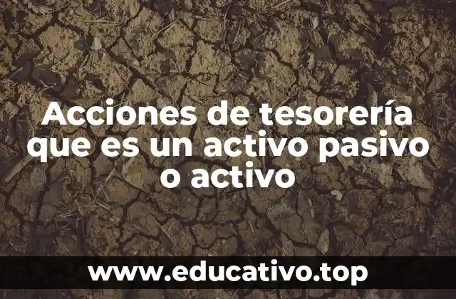 Acciones de tesorería que es un activo pasivo o activo