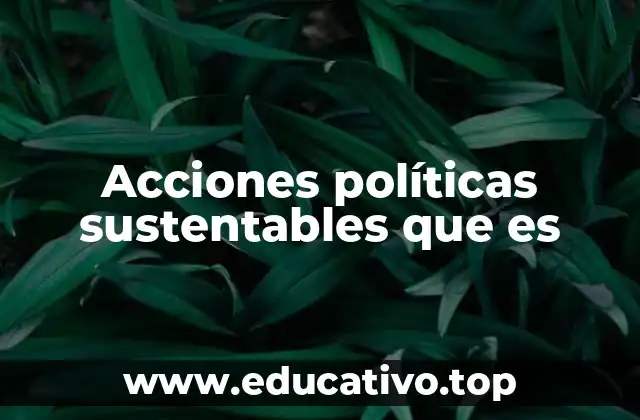 Acciones políticas sustentables que es