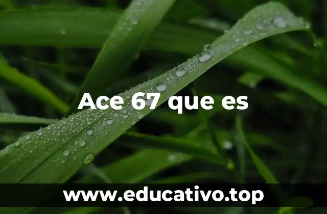 Ace 67 que es