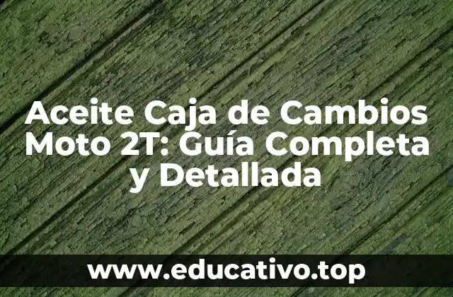 Aceite Caja de Cambios Moto 2T: Guía Completa y Detallada