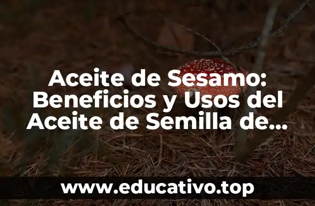 Aceite de Sesamo: Beneficios y Usos del Aceite de Semilla de Sésamo