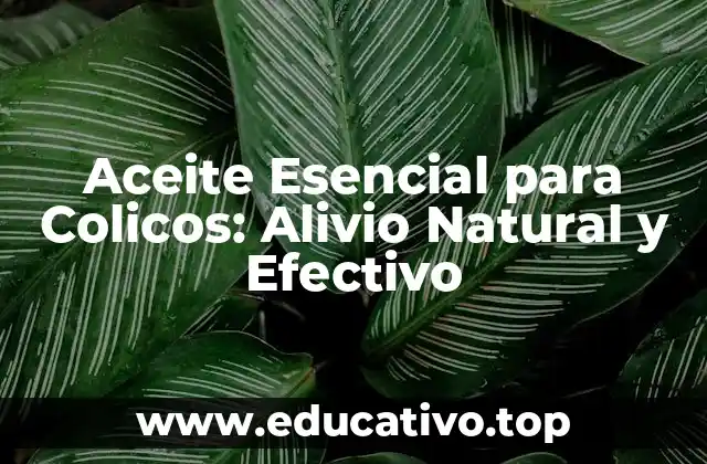 Aceite Esencial para Colicos: Alivio Natural y Efectivo
