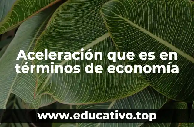 Aceleración que es en términos de economía