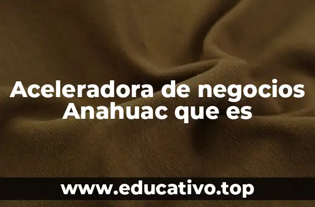 Aceleradora de negocios Anahuac que es