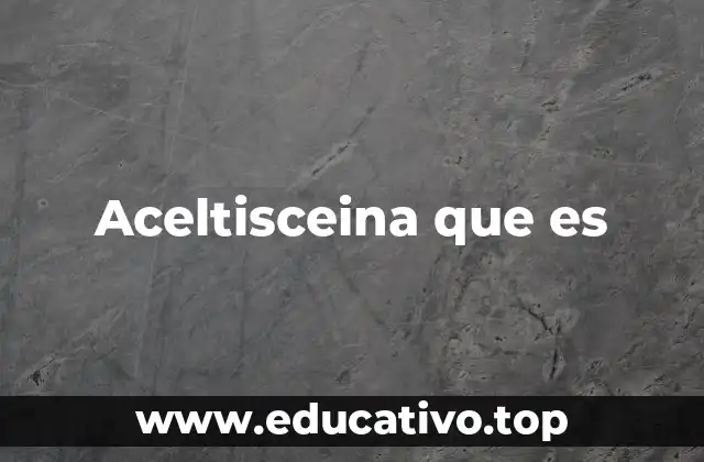 Aceltisceina que es