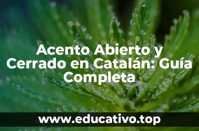 Acento Abierto y Cerrado en Catalán: Guía Completa