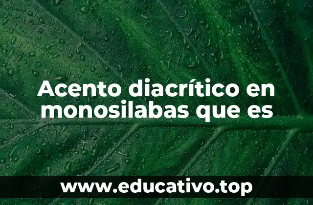 Acento diacrítico en monosilabas que es