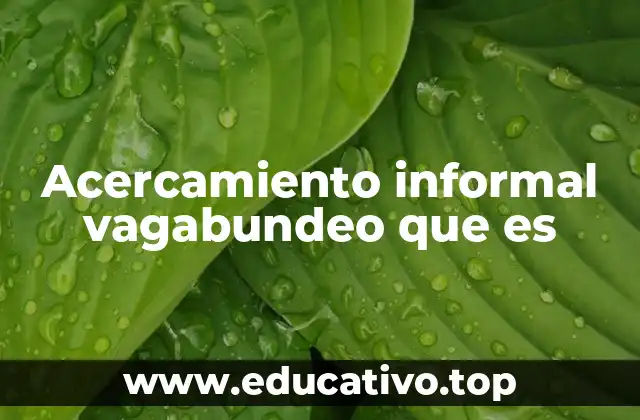 Acercamiento informal vagabundeo que es