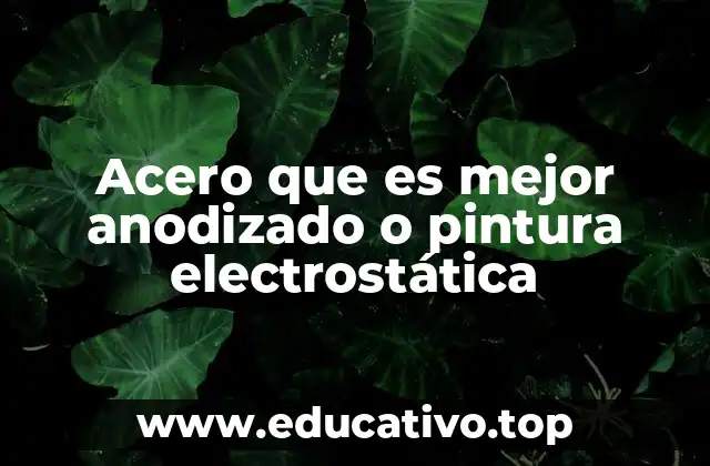 Acero que es mejor anodizado o pintura electrostática