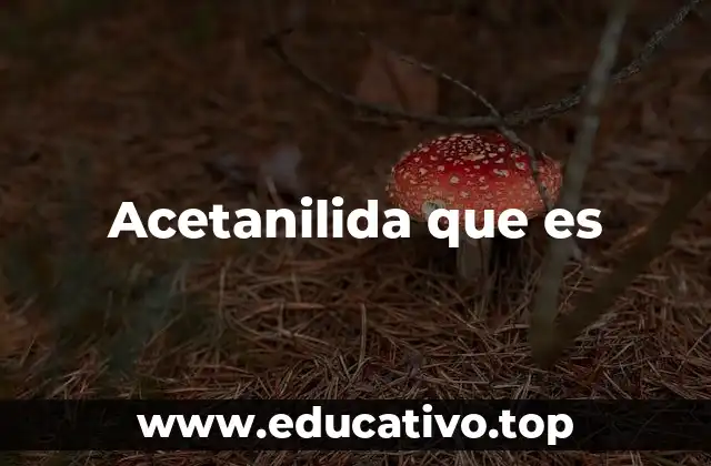 Acetanilida que es