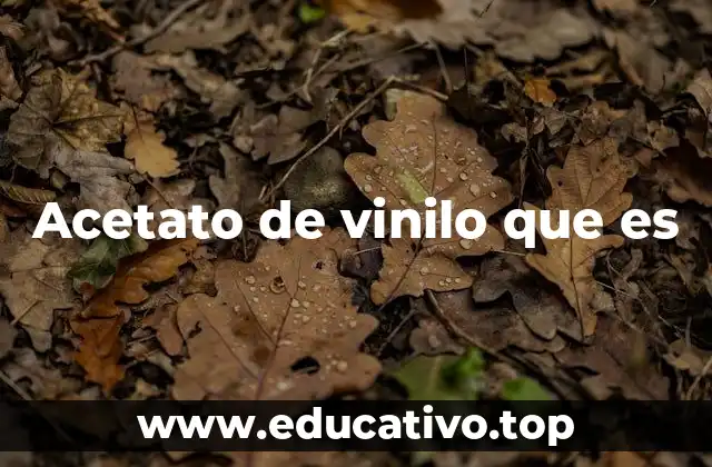 Acetato de vinilo que es