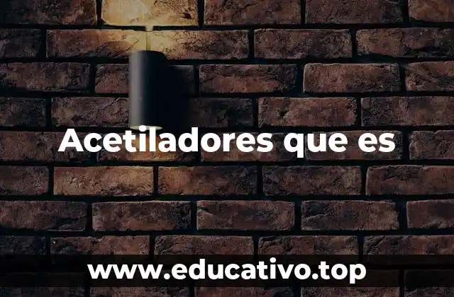 Aplicaciones de los acetiladores en la química y la biología