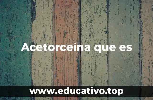 Acetorceína que es