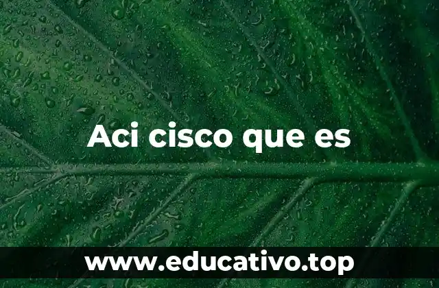 Aci cisco que es