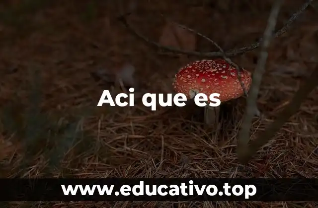Aci que es