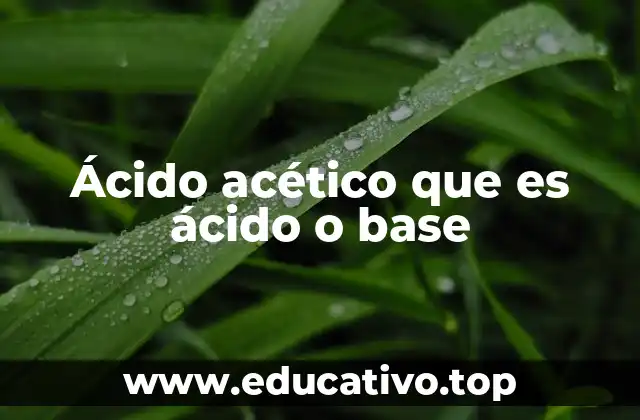 Ácido acético que es ácido o base