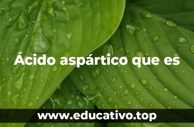 Ácido aspártico que es