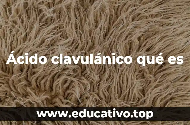 Ácido clavulánico qué es