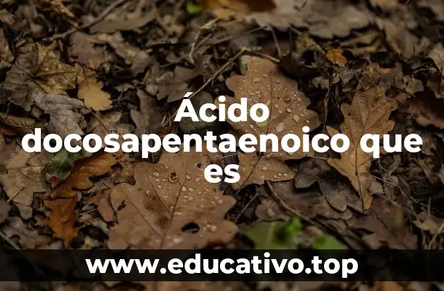 Ácido docosapentaenoico que es