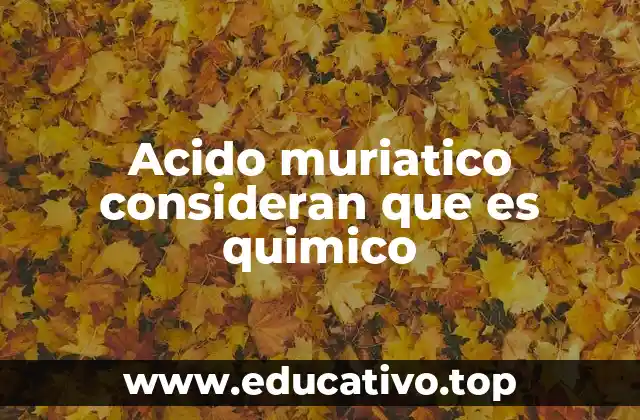 Acido muriatico consideran que es quimico