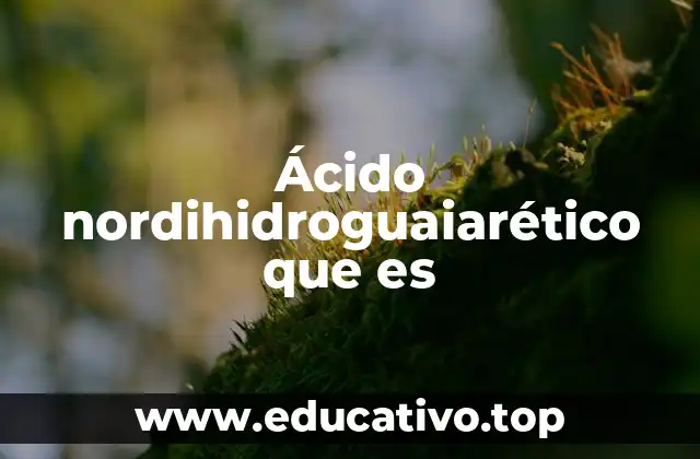 Ácido nordihidroguaiarético que es