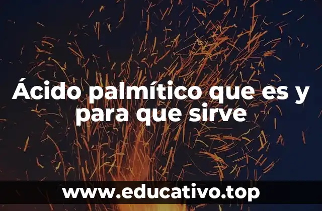 Ácido palmítico que es y para que sirve