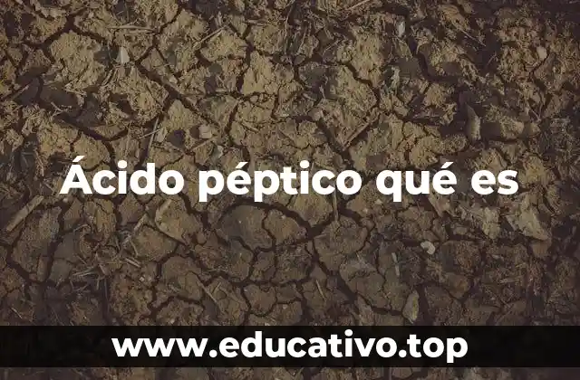 El papel del ácido péptico en la digestión