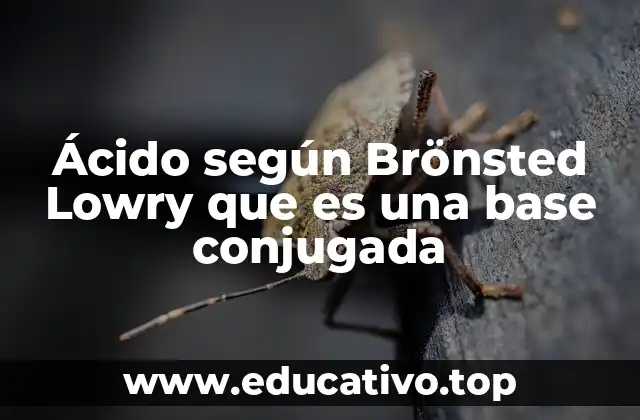 La importancia de la base conjugada en reacciones ácido-base