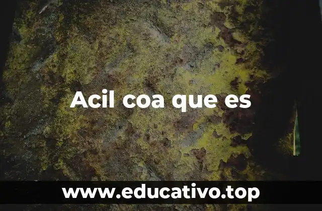 Acil coa que es