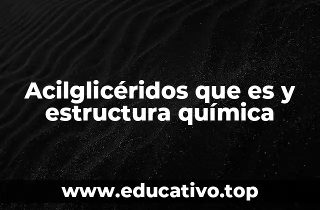 Acilglicéridos que es y estructura química
