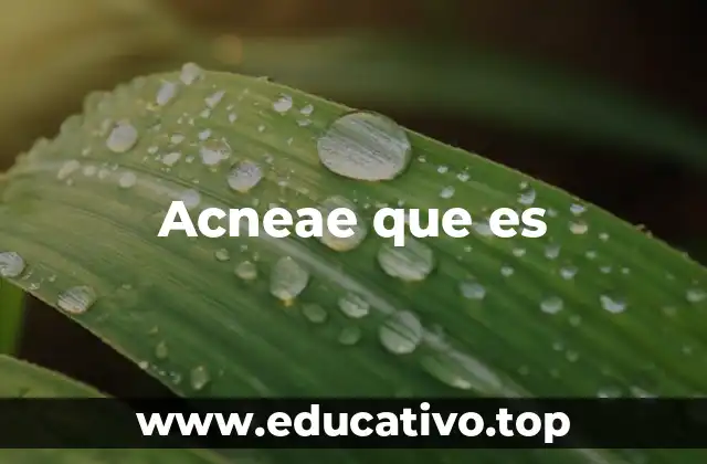 Acneae que es