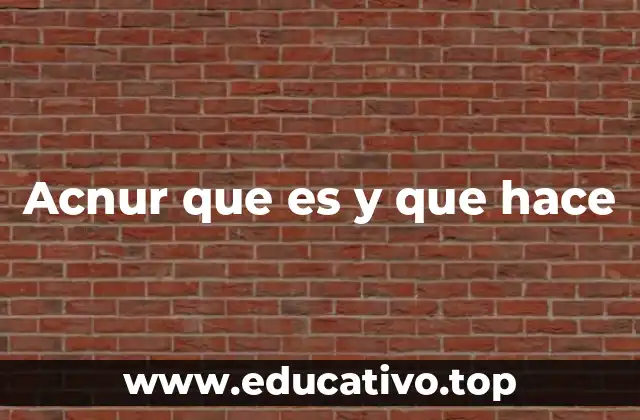 El papel del Acnur en la protección de personas desplazadas