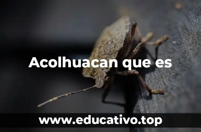 Acolhuacan que es