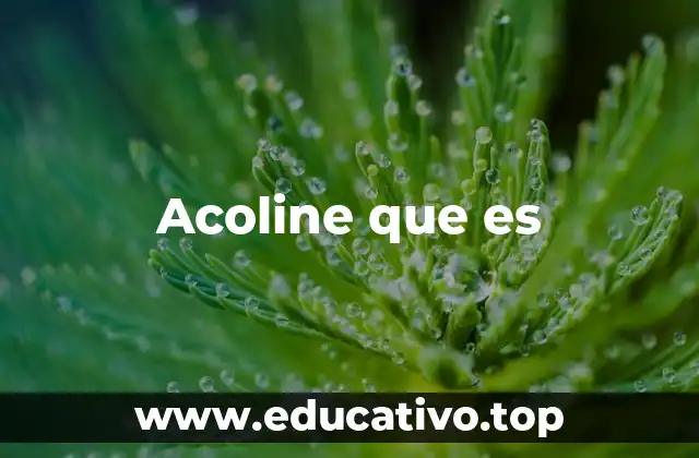Acoline que es