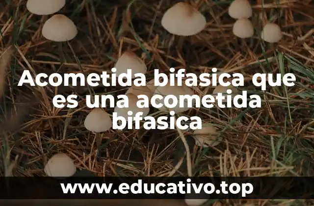 Acometida bifasica que es una acometida bifasica