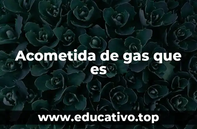 Acometida de gas que es