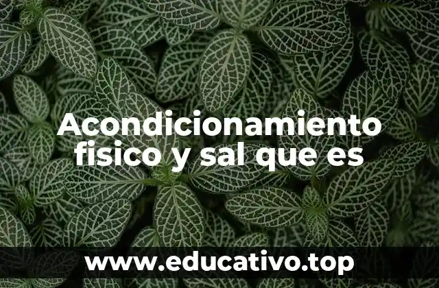 Acondicionamiento fisico y sal que es