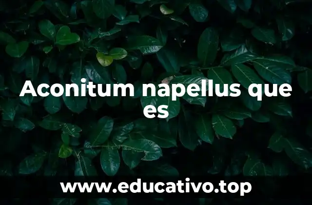 Aconitum napellus que es