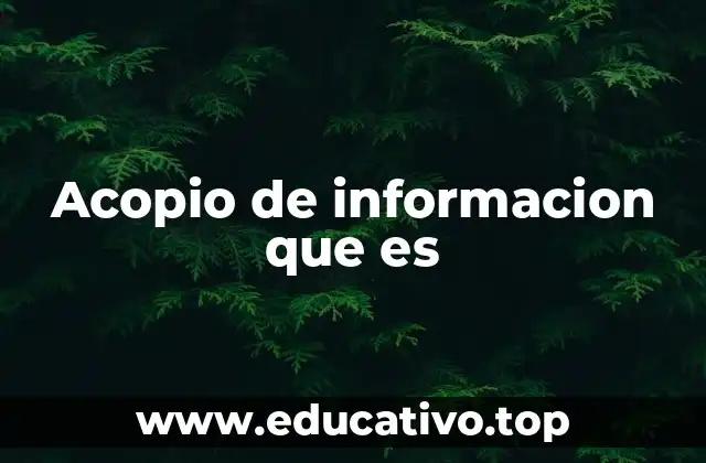 Acopio de informacion que es