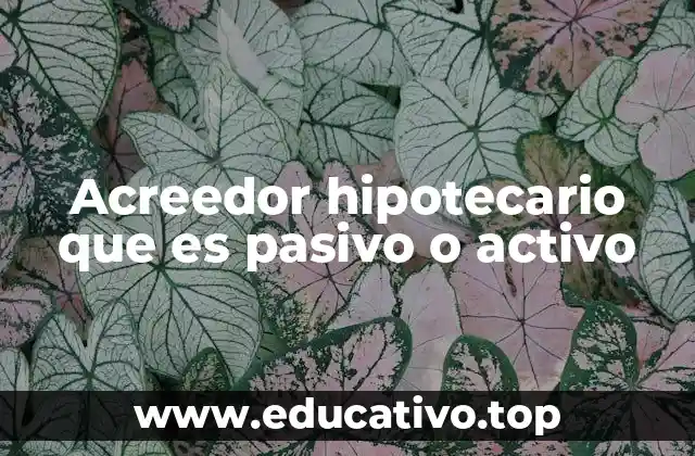 Acreedor hipotecario que es pasivo o activo