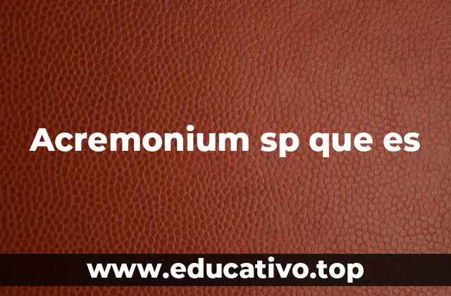 Acremonium sp que es
