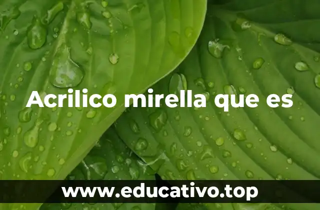 Acrilico mirella que es