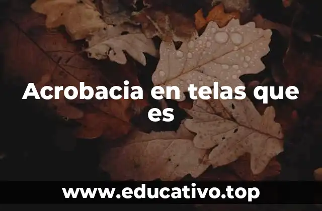 Acrobacia en telas que es