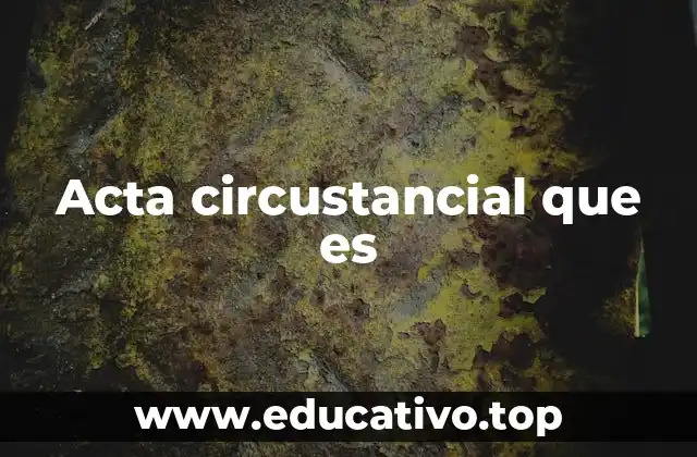 Acta circustancial que es